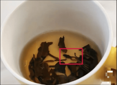  此次食物平安事务